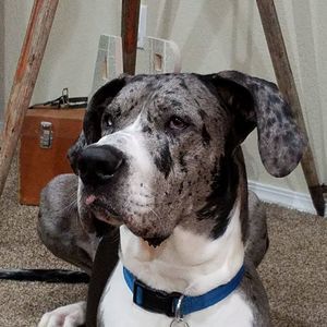 Meet your Posher, Sunshine